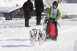 Lenk 2012 SM